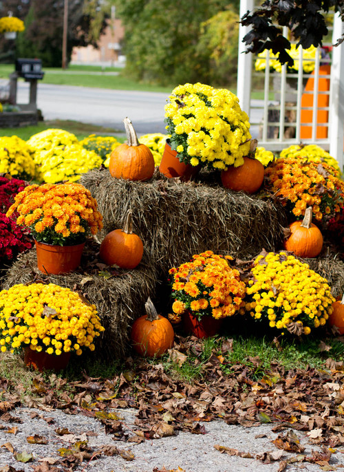 The Gorgeous Colors of Fall - Town & Country Living