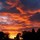 matt_martin7135