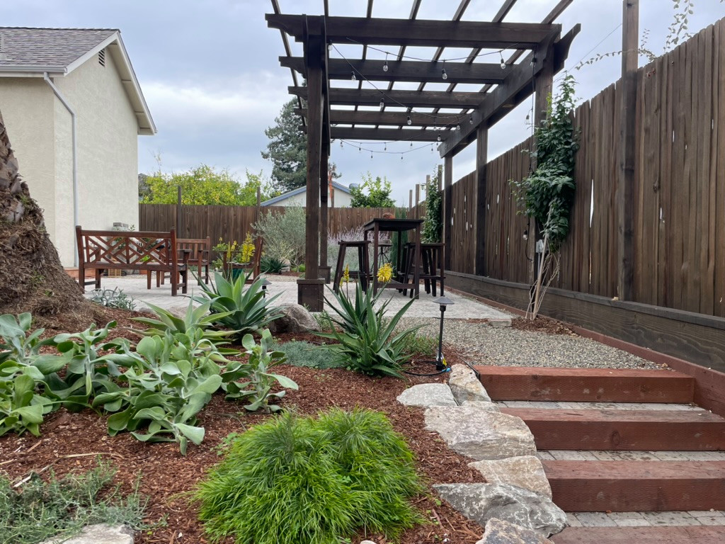 Hayward bungalow back yard