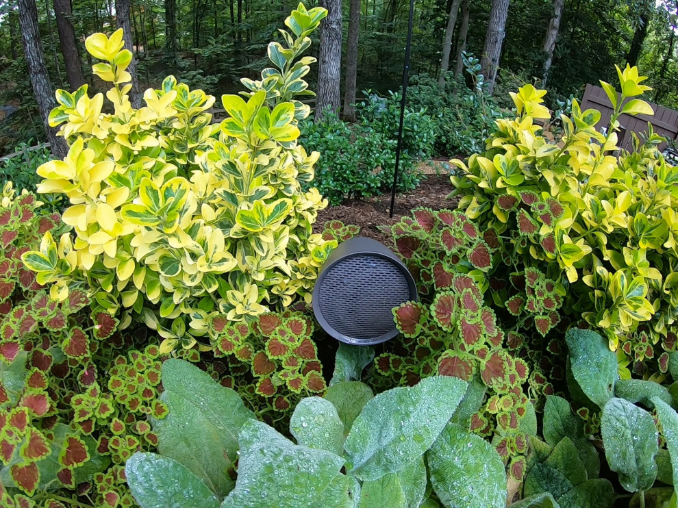 Outdoor Audio (Sonance SLS System & Garden Series)