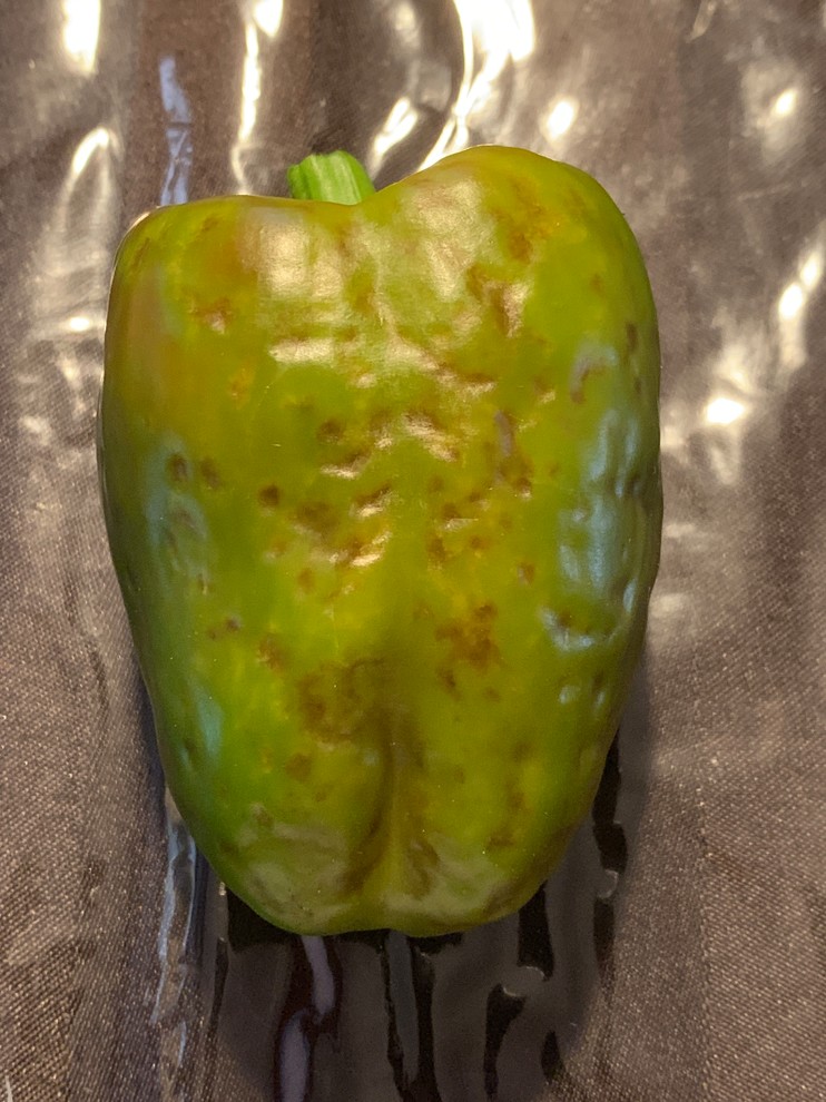 Brown spots on bell peppers?