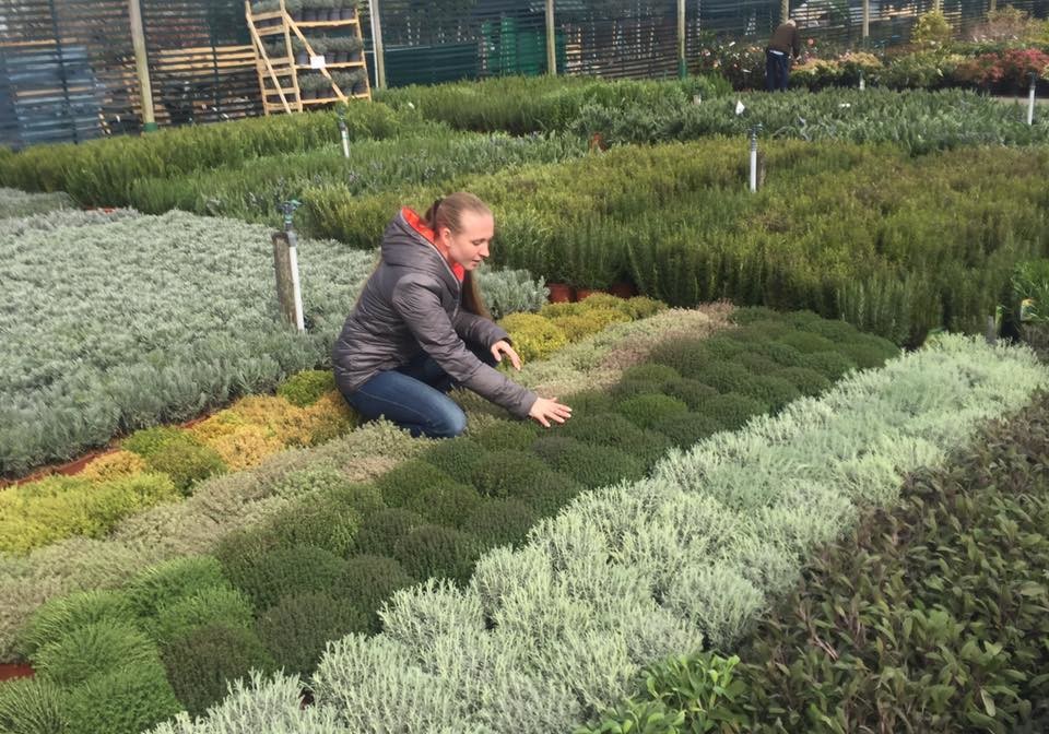 Русский сад - Челси 2016