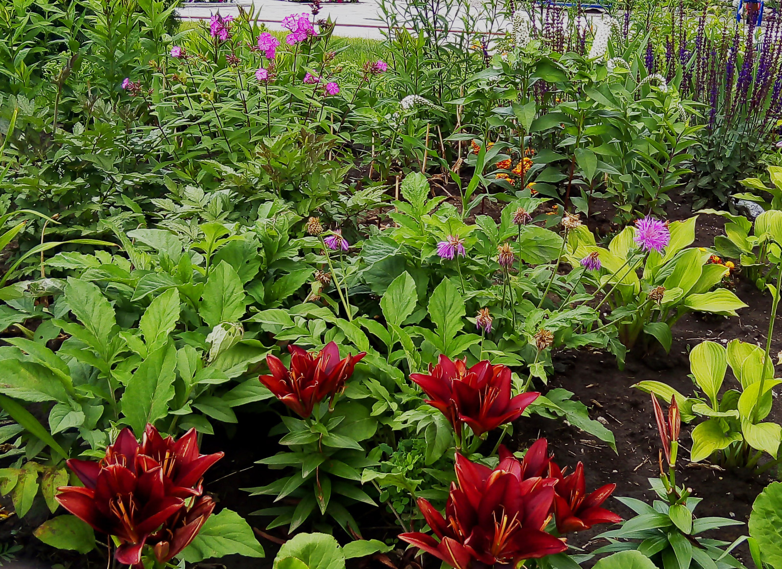 Цветники на территории храма