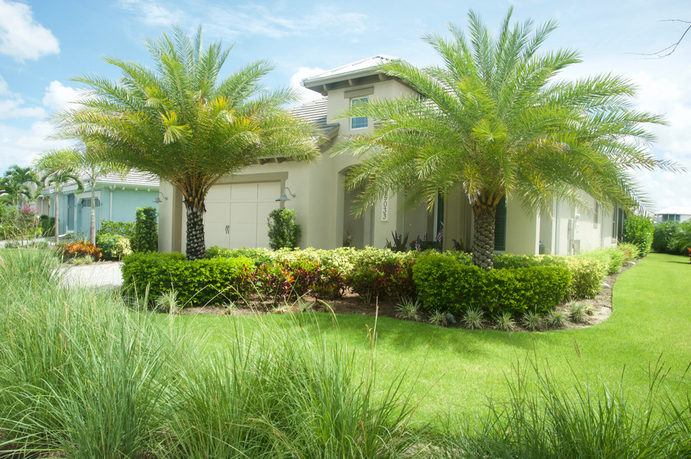 Tropical Full Yard Landscape In Naples Fl - Tropical - Landscape 