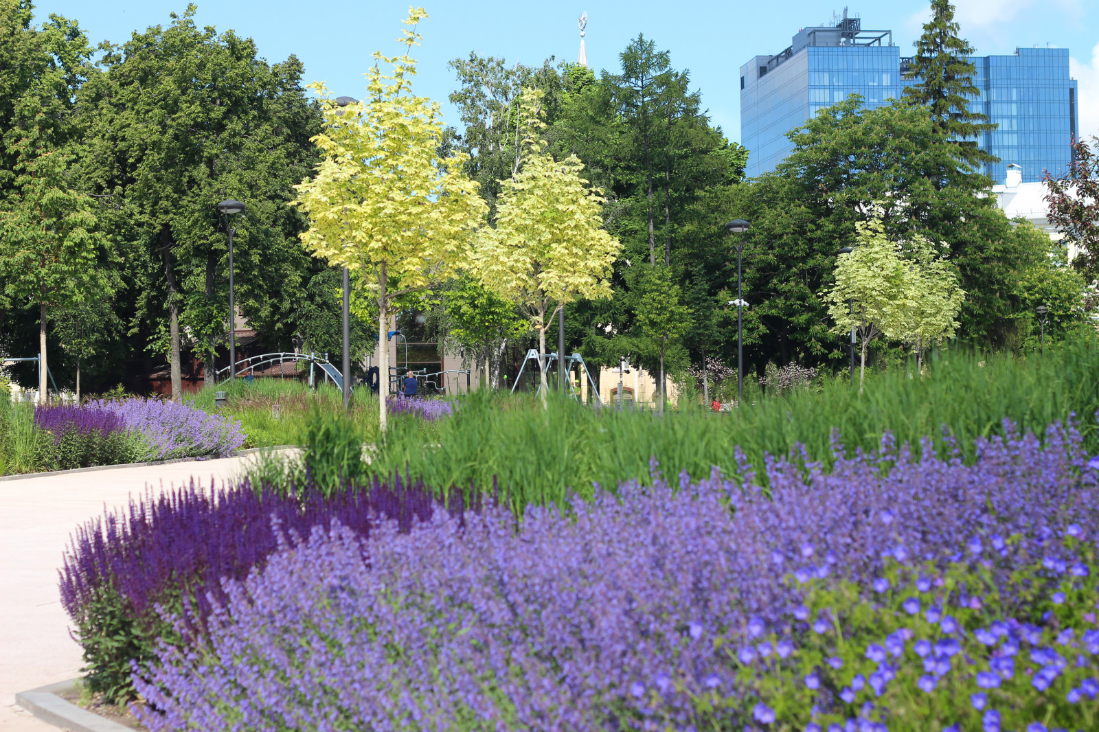 Цветники Советской площади