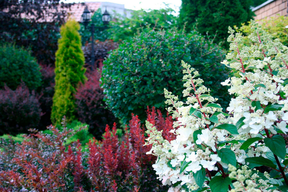 Нижегородский дворик