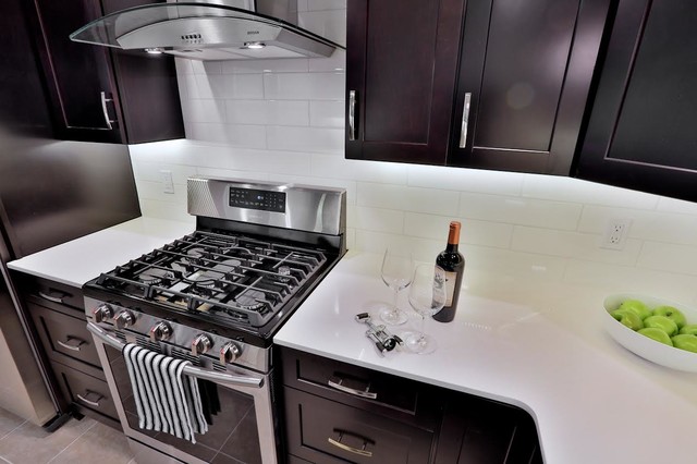 Kitchen Remodel trendy-koekken