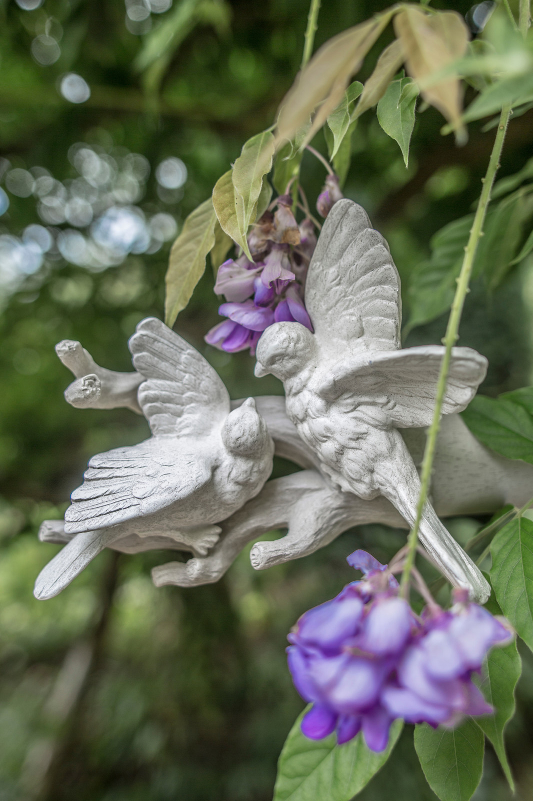 Карнизы для штор, Alison Davies