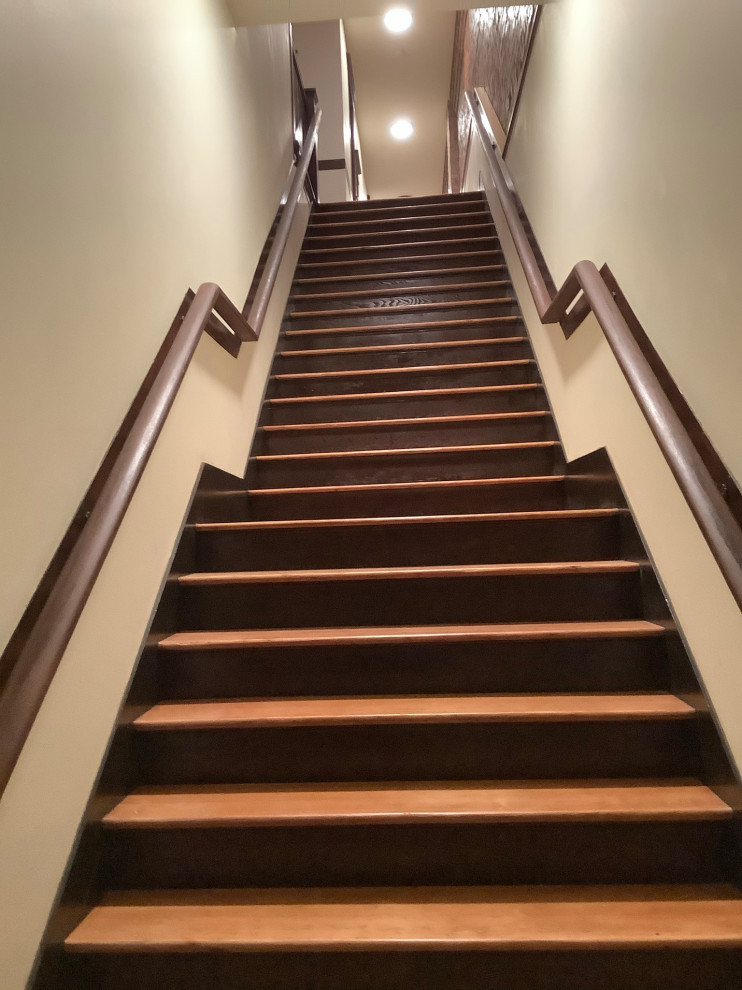 Stair Tread and Railing Restoration