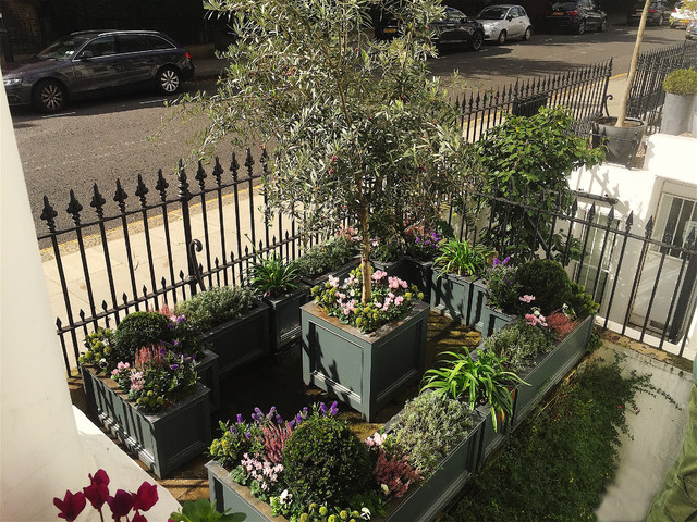 Small Front Gardens - Contemporary - Garden - London - by ...