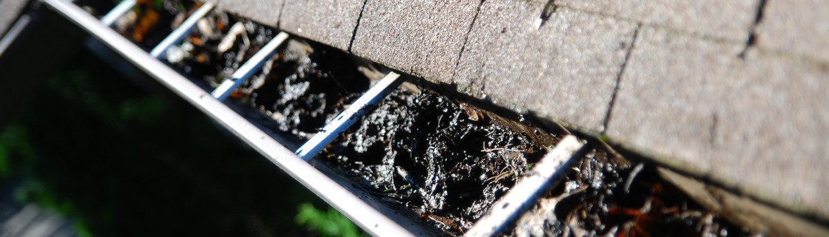 Ned Stevens Gutter Cleaning Fairfield Nj Us 07004