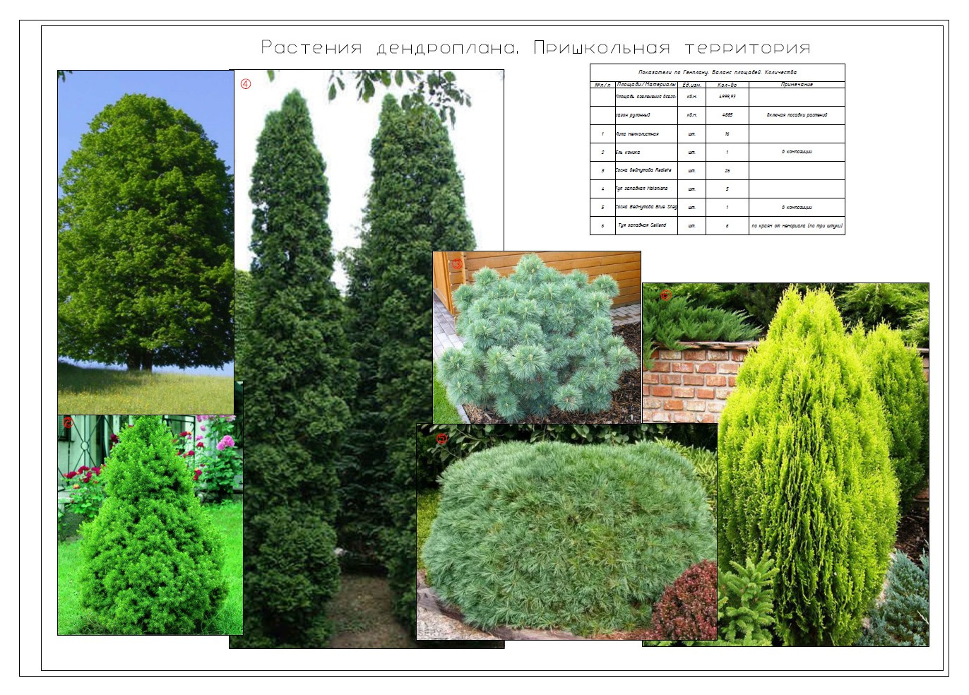 Куркиёки. Школа