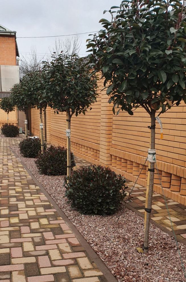 Наши проекты