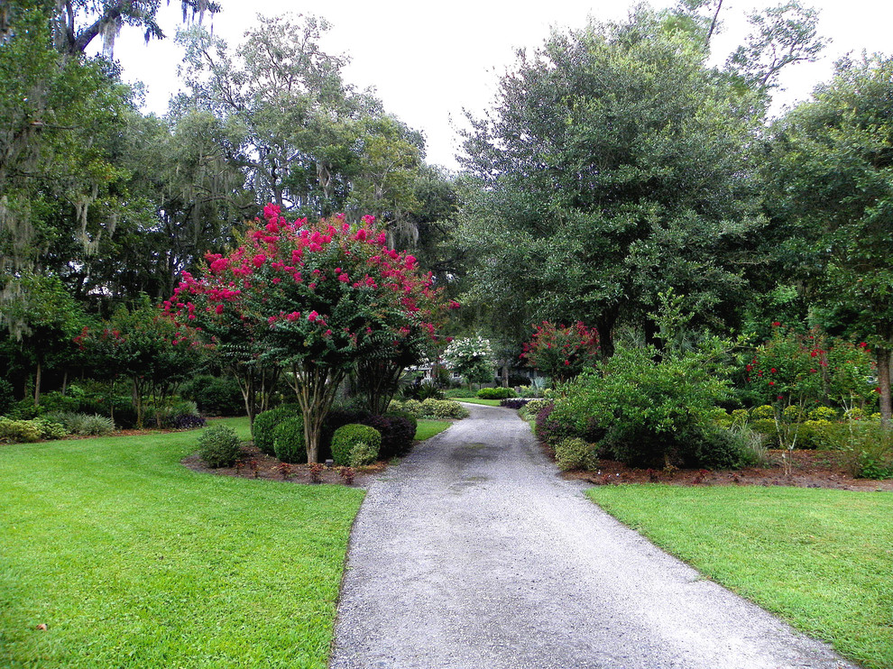 Photo of a traditional garden in Jacksonville.