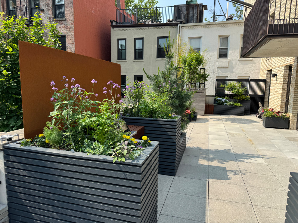 Carroll Gardens Rooftop Terrace