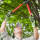 Wigan Tree Pruning