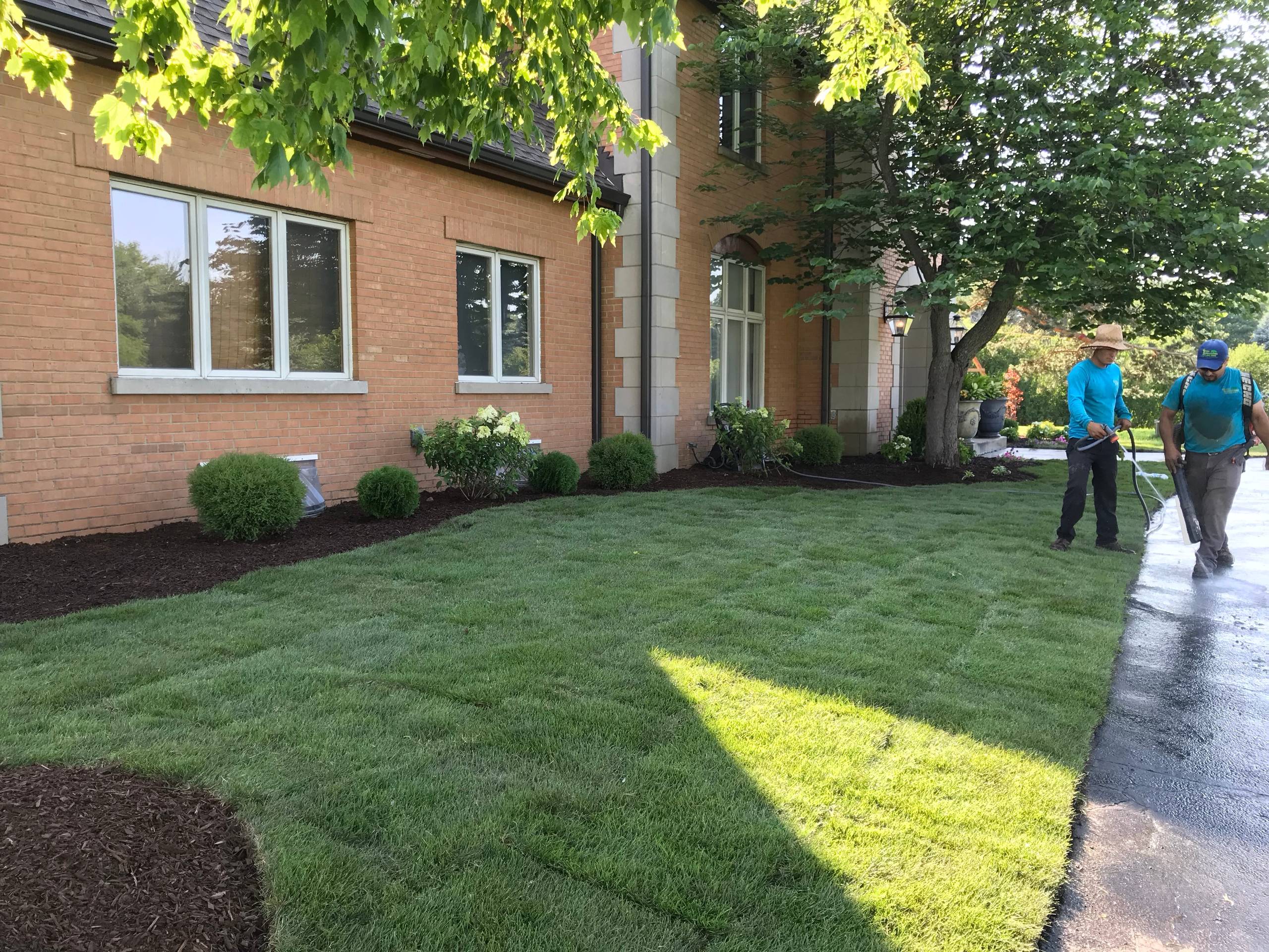 Creating Curb Appeal - Before and Afters