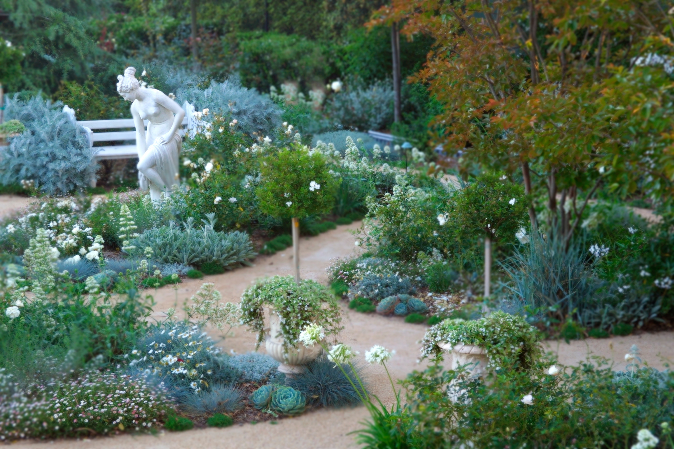 A Beginner's Guide to a Moon Garden