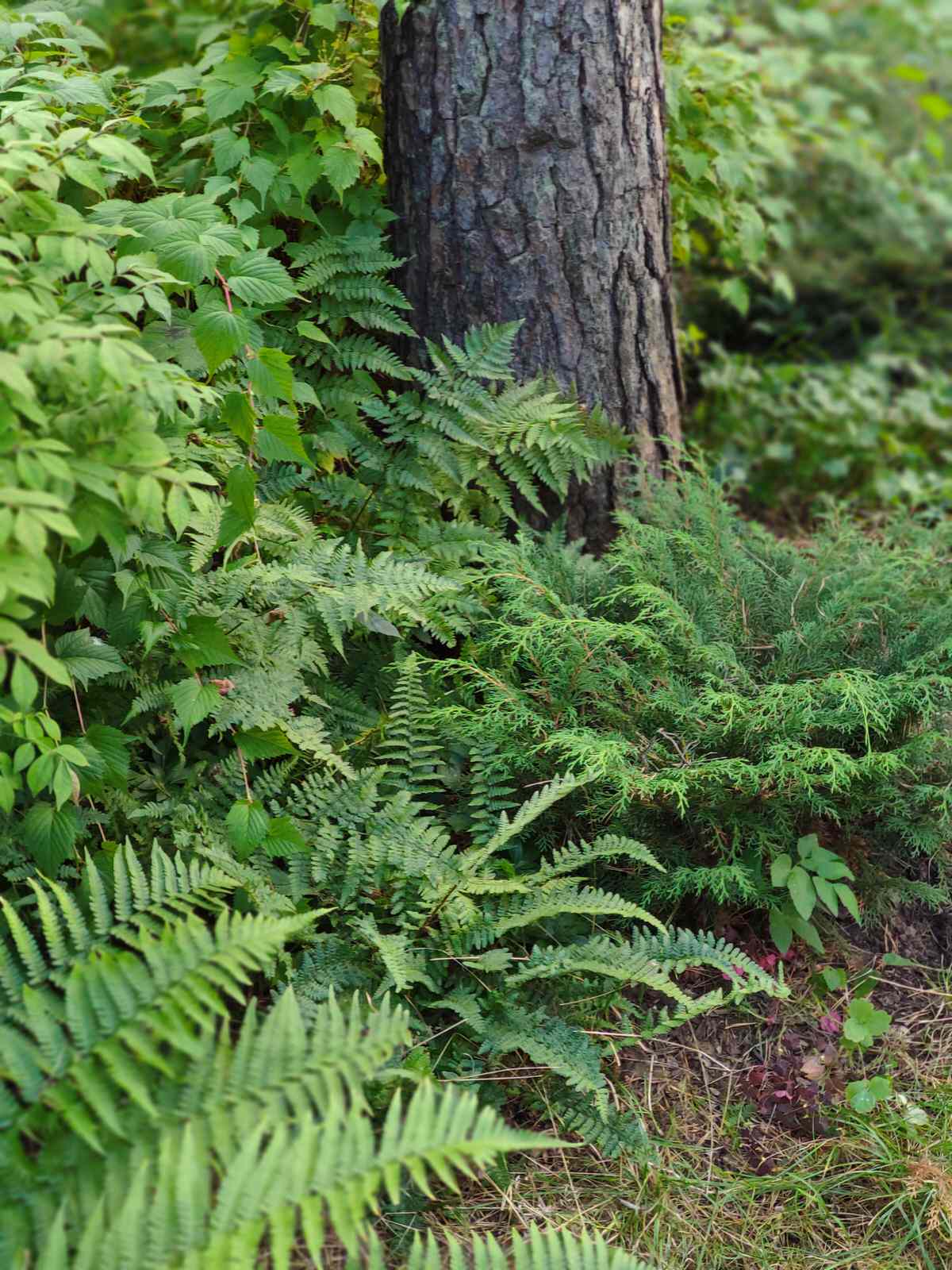 "Дача в Кратово"