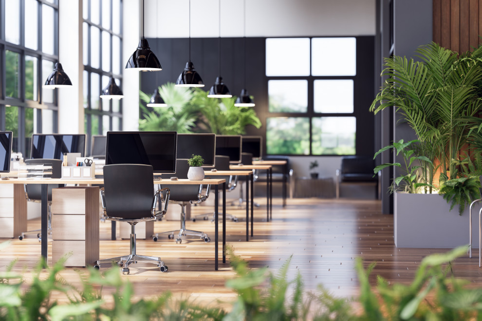Office Projects