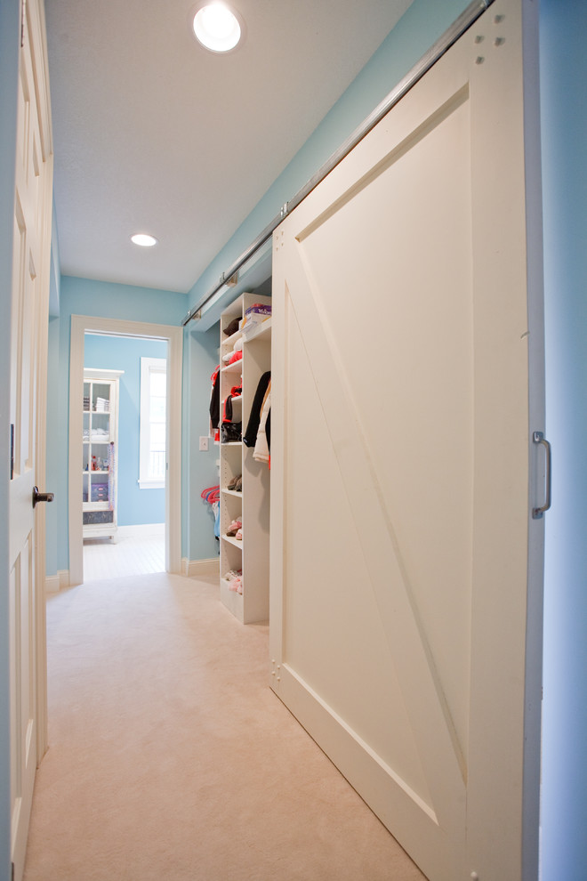 This is an example of a traditional storage and wardrobe in Minneapolis with carpet.