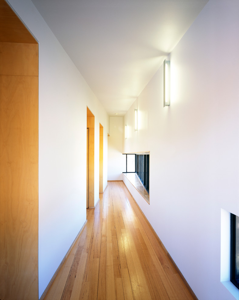 This is an example of a mid-sized contemporary hallway in Melbourne with white walls and medium hardwood floors.