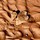 jodi_messa26