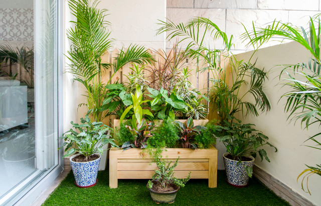 How to Grow a Blooming Balcony Garden