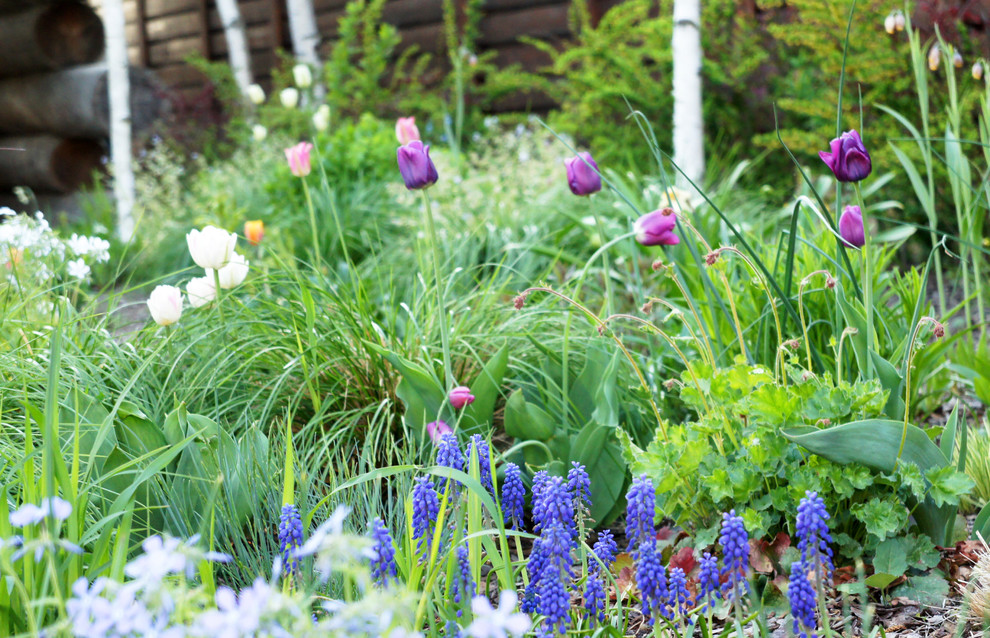 участок в Прохорово