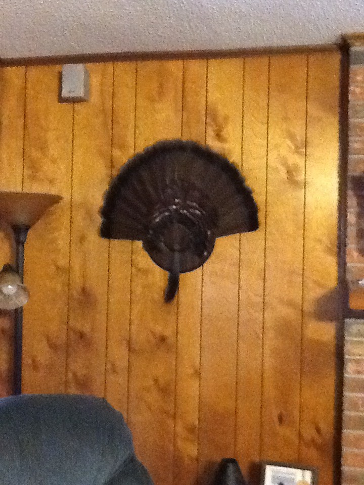 How to paint over Oak Paneling?