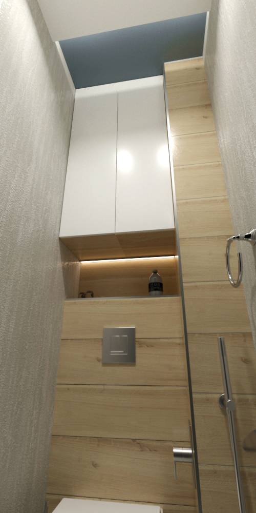 Трехкомнатная в Ветлужанке