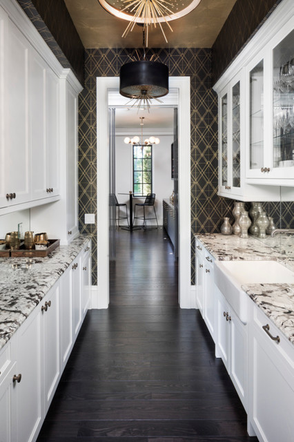 Trendy home design photo in Minneapolis