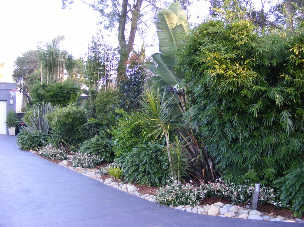 Photo of a modern front yard driveway in Central Coast.
