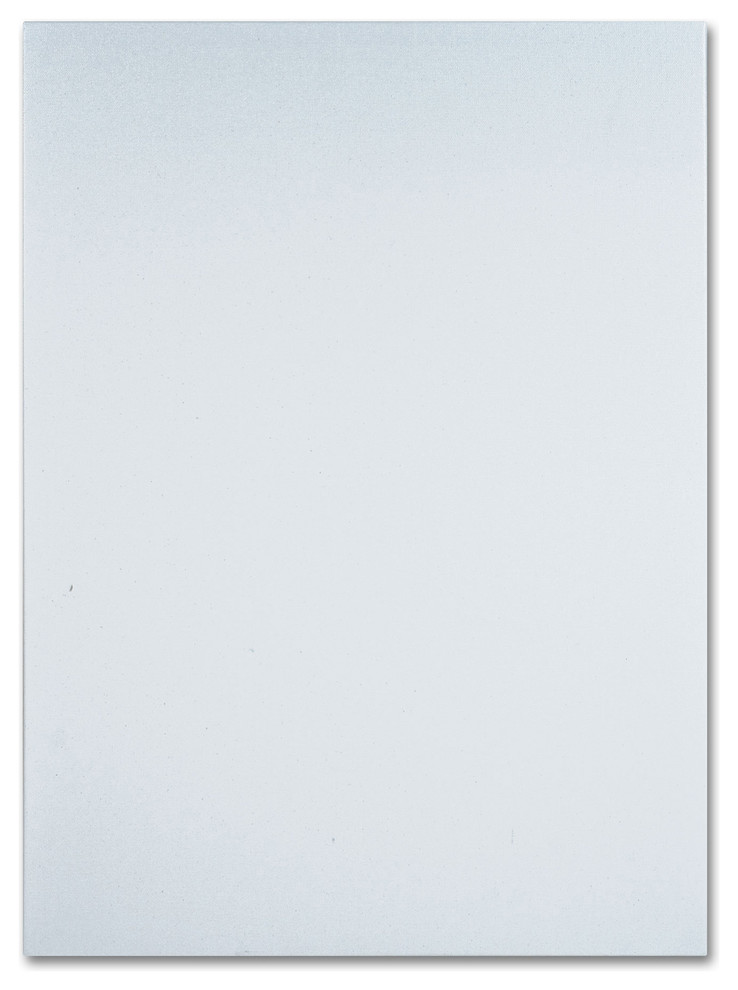 Trademark Fine Art Professional Blank White Canvas on Stretcher Bars