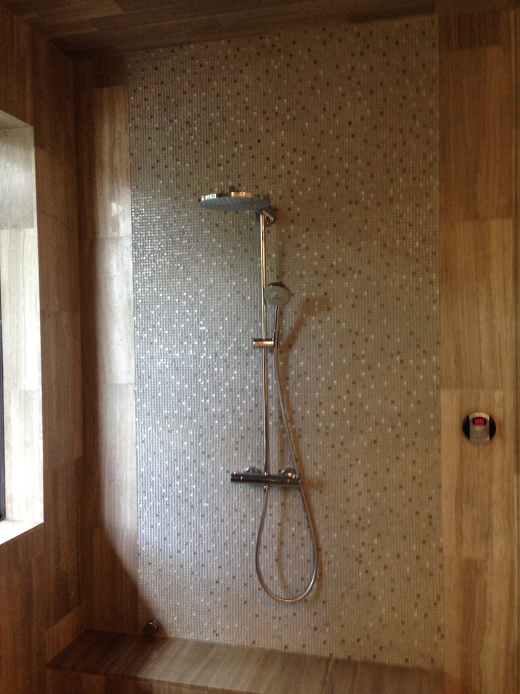 Rosenberg master bathroom