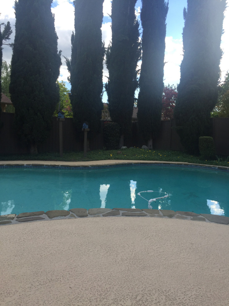 Bay Area Pool Remodel