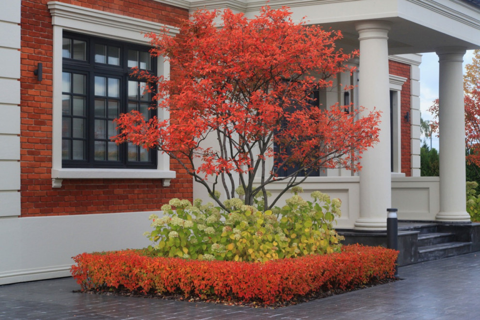 Тихая роскошь