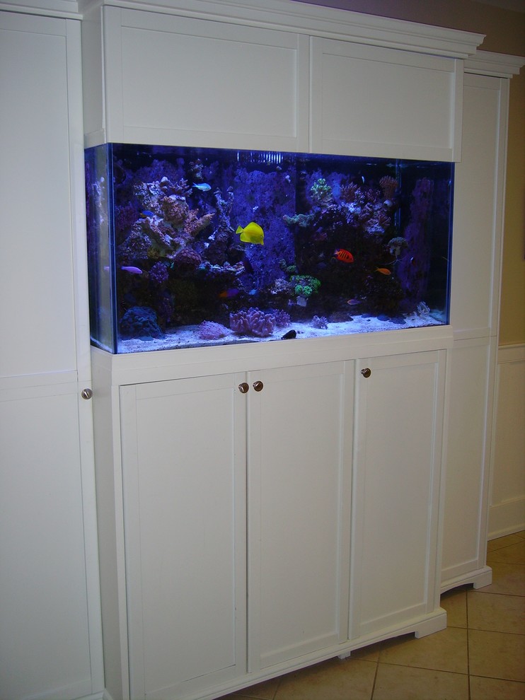Aquarium for 90 gallon reef tank Traditional Toronto by