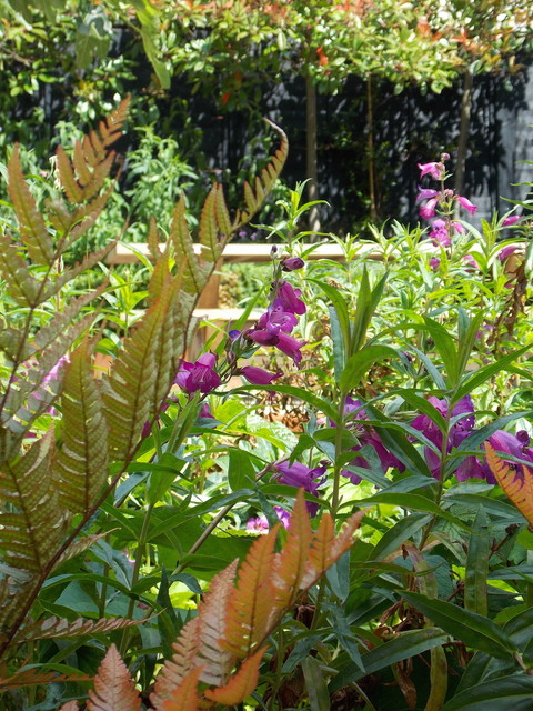 Muscle Hill garden country-garden