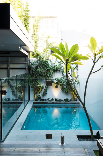 Enmore - Plunge Pool + Entertaining Deck trendy-pool