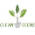 CleanScene Corp