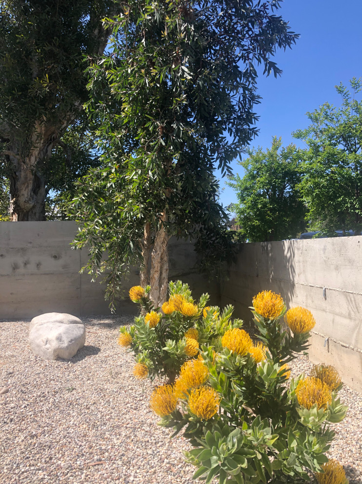 Inspiration for a mid-sized and desert look modern front yard full sun xeriscape for spring in Los Angeles with gravel.