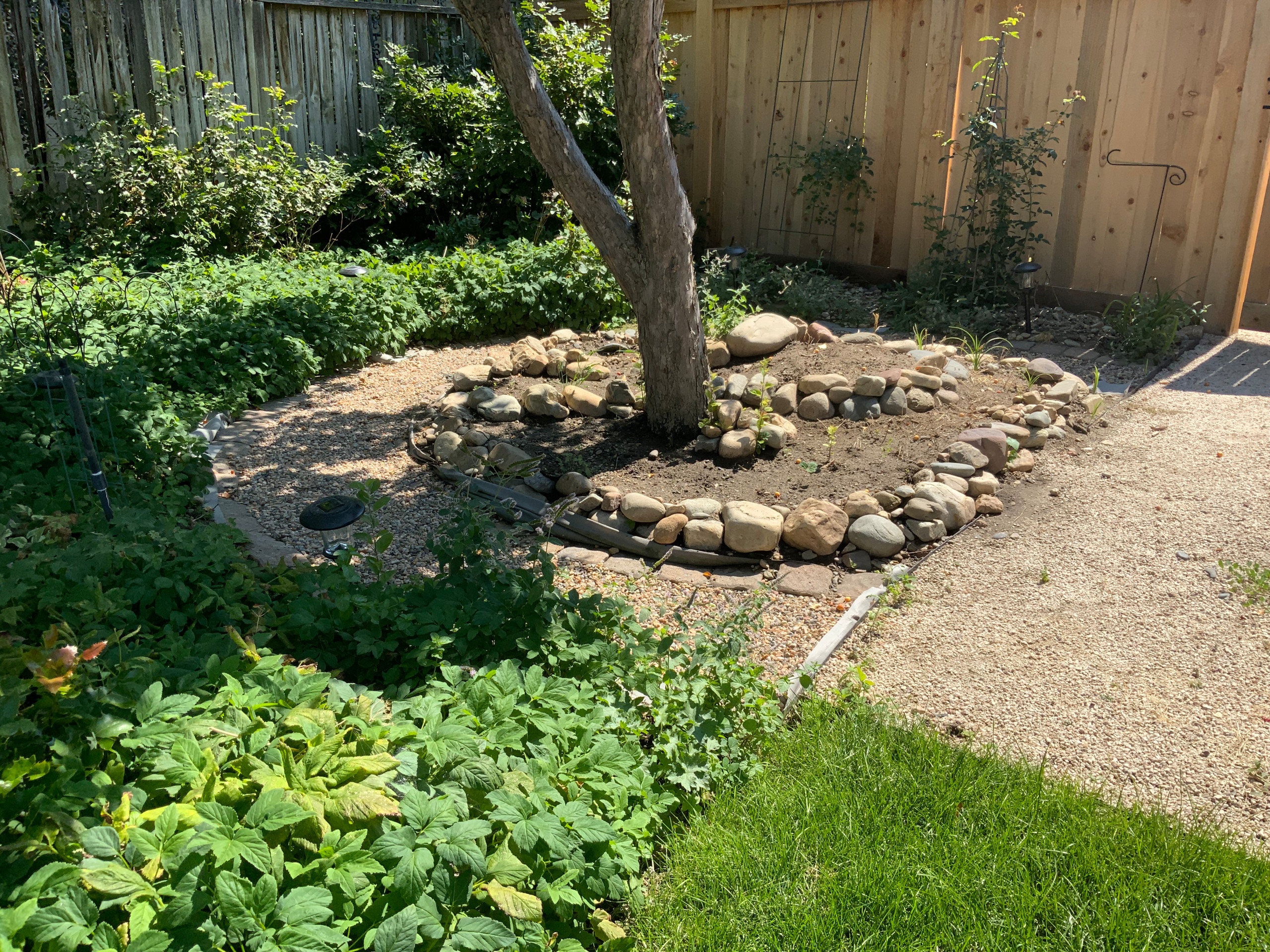 Cozy Cottage Garden