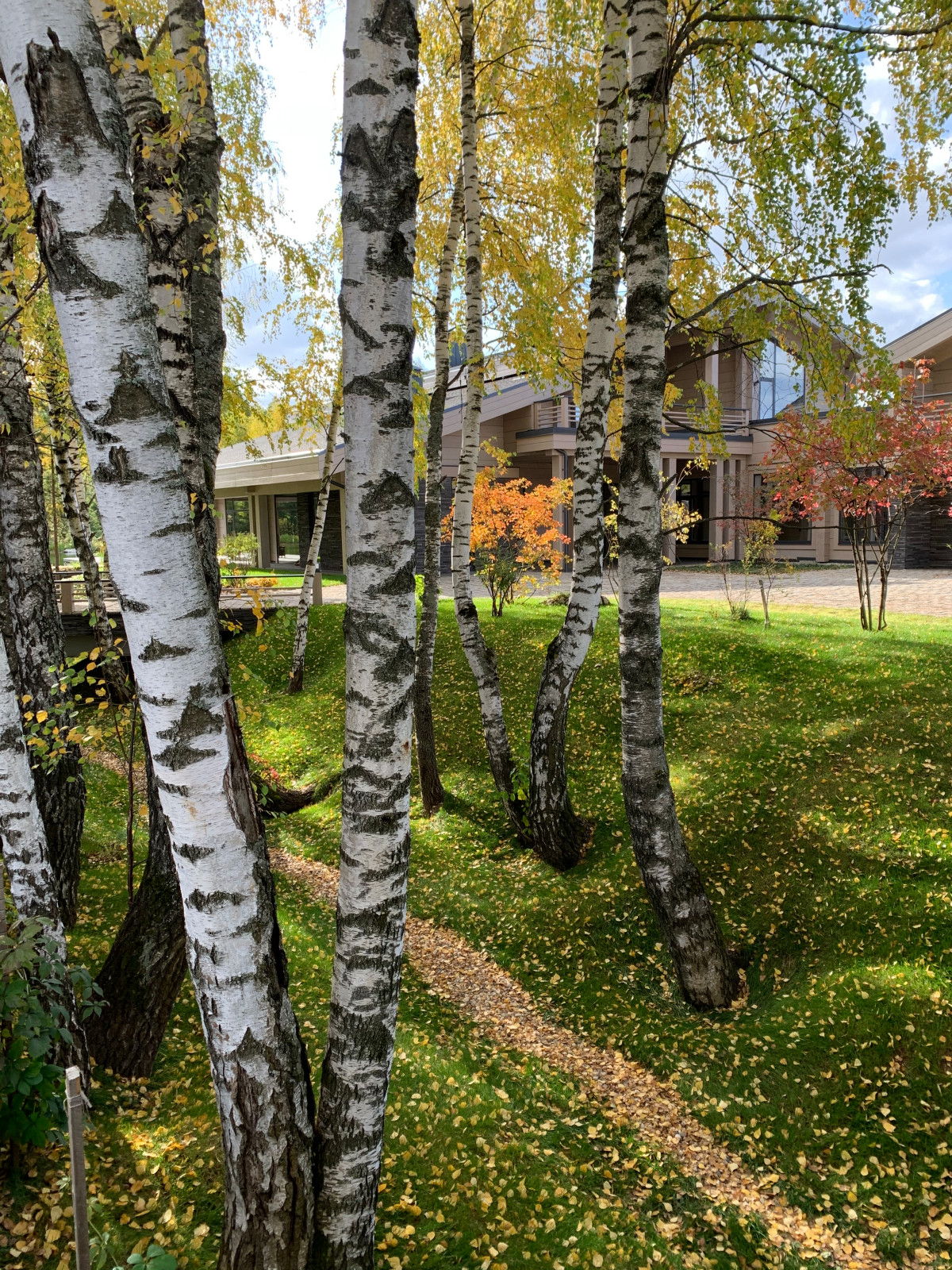 Проект сада с водоемом
