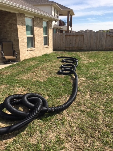 Drain spouts Tied into French Drains Irrigation