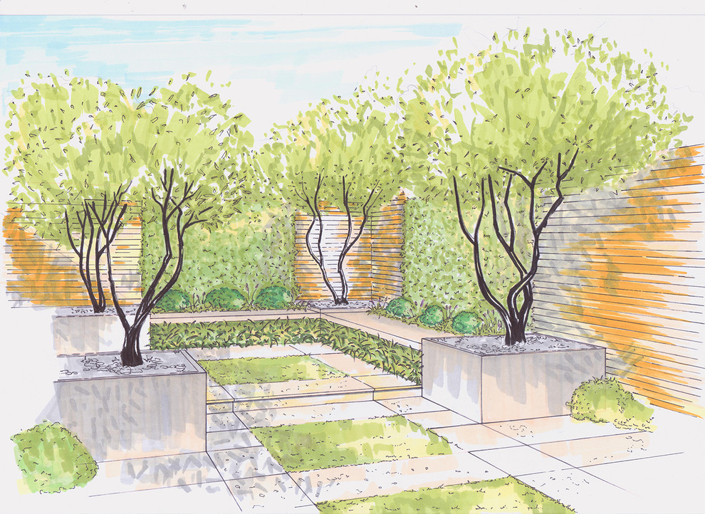 Современный сад