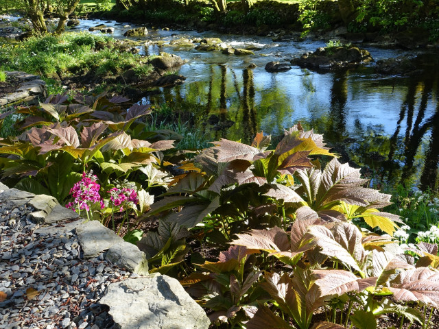 Riverside Interior & Garden River Edge trendy-have