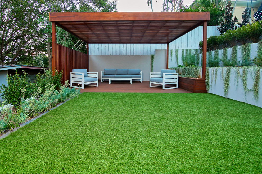 Modern garden in Brisbane.