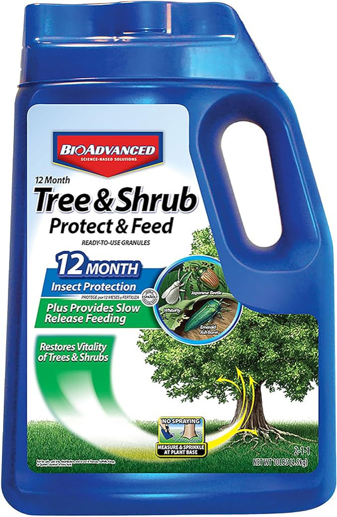 Tree & Shrub
