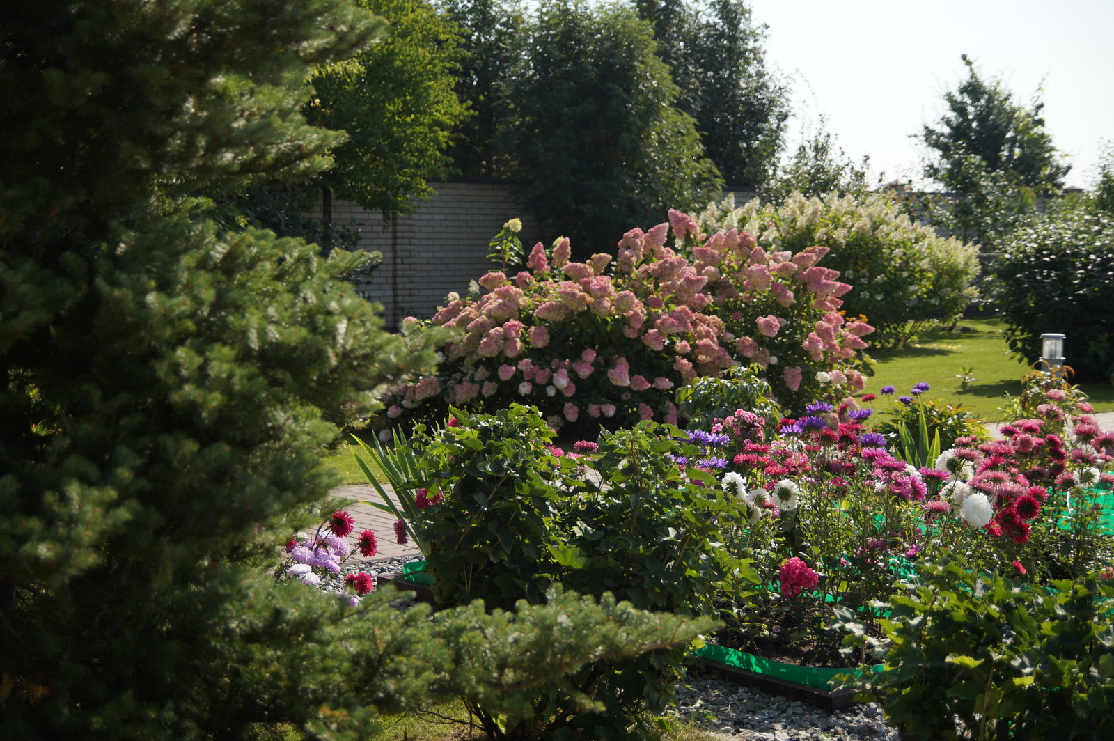 Гортензии много не бывает.